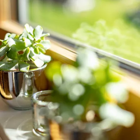 Veronika Apartment Silbertal