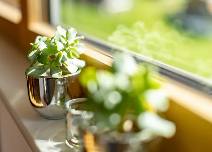 Veronika Apartment Silbertal